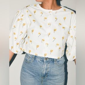 Meadows daffodil top